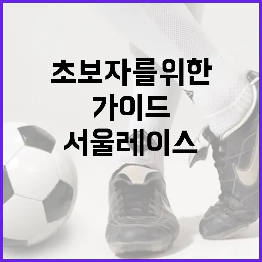 서울레이스 즐기는 방법: 초보자를 위한 가이드 - 요약