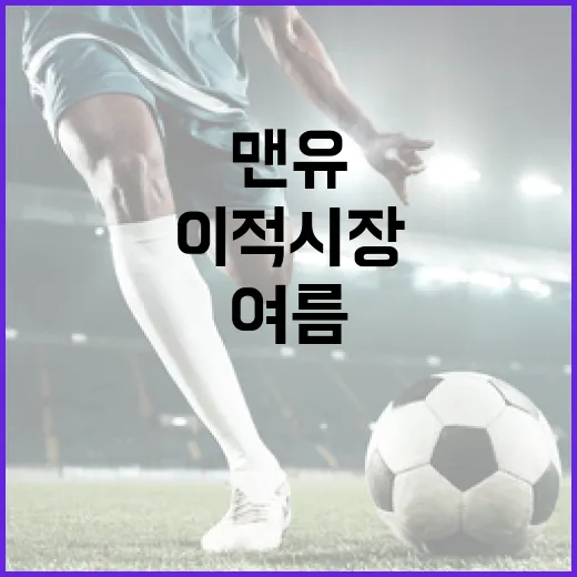 맨유 여름 이적시장: 자금 확보 전략 알아보기 - 요약