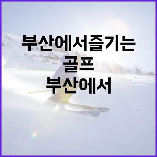 리브골프 부산에서 즐기는 최고의 경험 방법 - 요약