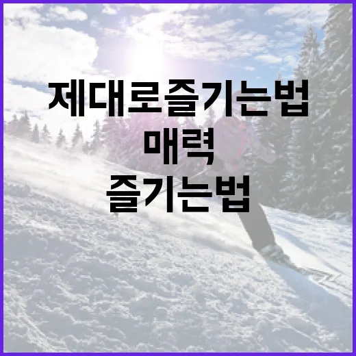 추돼삼의 매력: 제대로 즐기는 법 - 요약