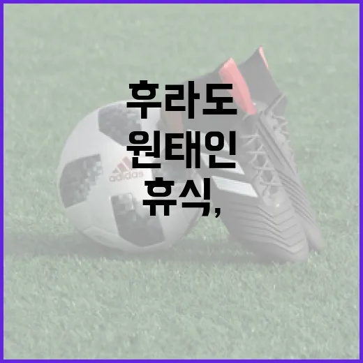 후라도와 원태인의 특별한 휴식, 그 효과는? - 요약