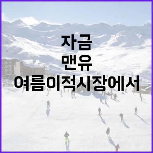 맨유가 여름 이적시장에서 자금을 확보하는 방법 - 요약