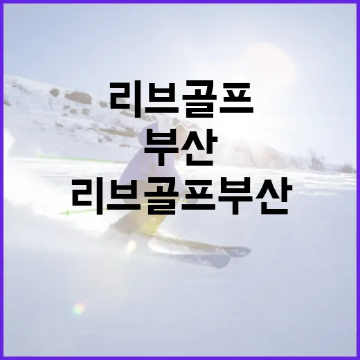 리브골프 부산, 초보자도 쉽게 즐기는 방법 - 요약