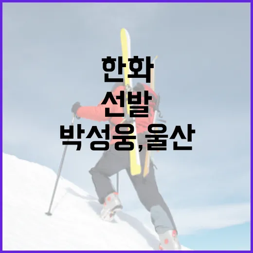 한화 출신 박성웅, 울산에서 선발로 돋보이는 이유 - 요약