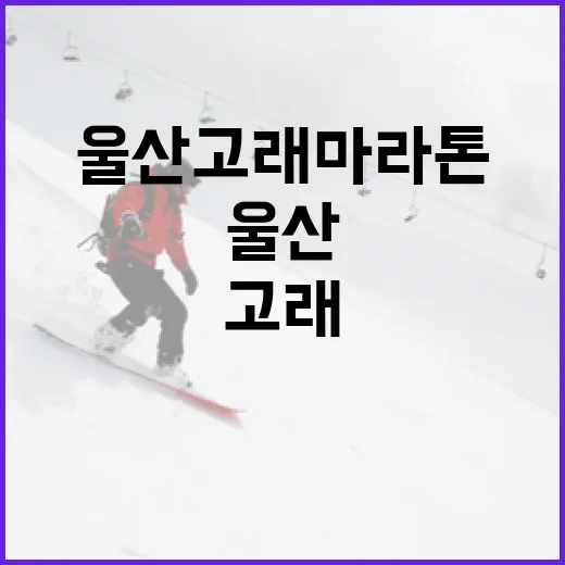 울산 고래마라톤에서 즐기는 색다른 경험 - 요약