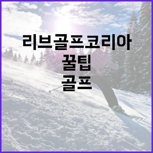 리브골프 코리아를 즐기는 방법: 골프 초보자를 위한 꿀팁 - 요약