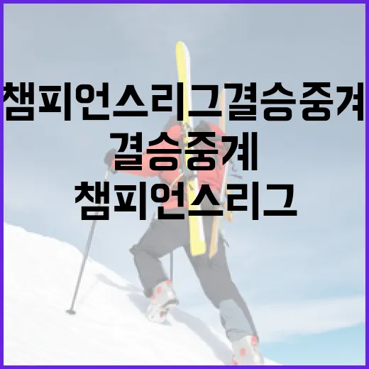챔피언스리그 결승 중계, 놓치지 않으려면? - 요약