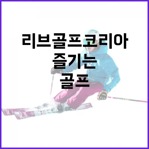 리브골프 코리아에서 더 잘 즐기는 방법 - 요약