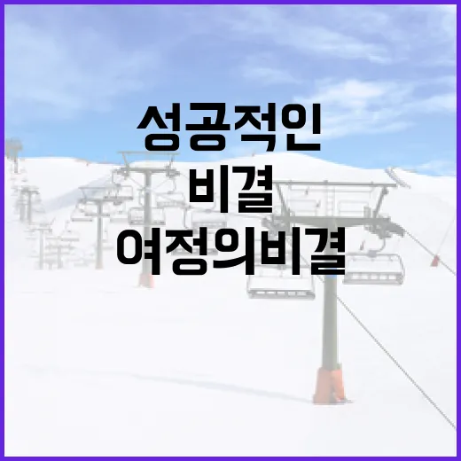 MSI로 가는 길: 성공적인 여정의 비결 - 요약