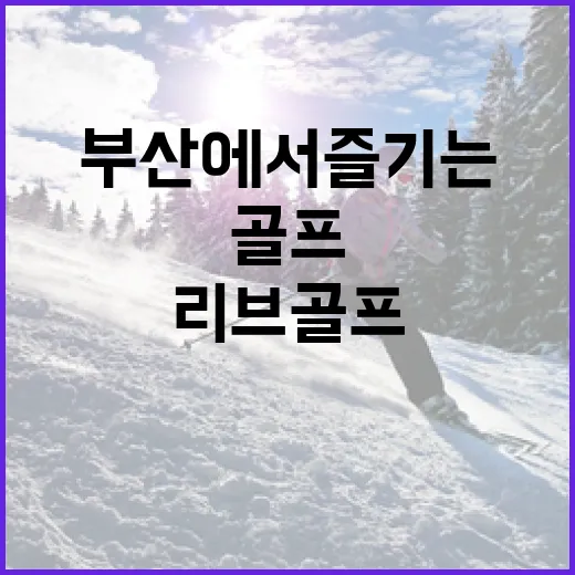 리브골프 부산에서 즐기는 방법, 이렇게 하세요! - 요약