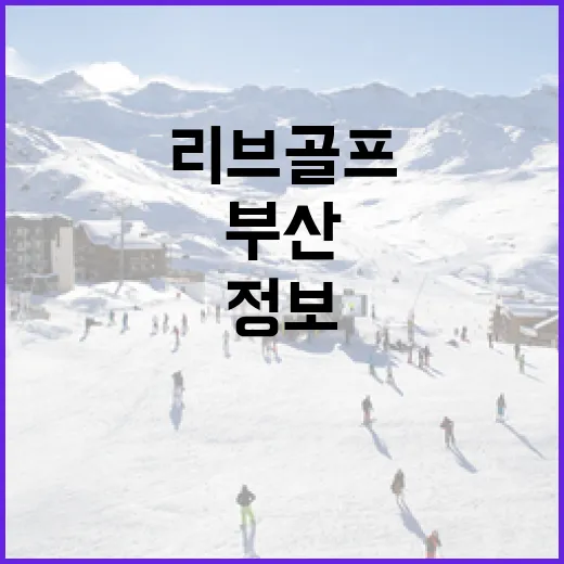 리브골프 부산에서 즐기기 위한 팁과 필수 정보 - 요약