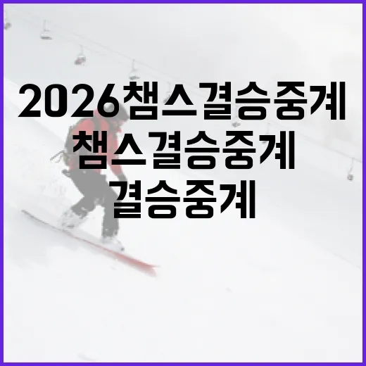 2026 챔스 결승 중계, 어디서 어떻게 볼까? - 요약