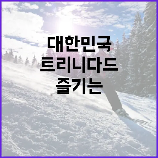 대한민국에서 트리니다드를 즐기는 방법 - 요약