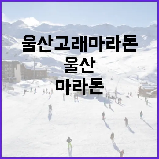 울산 고래마라톤 완주하는 방법 알아보기 - 요약