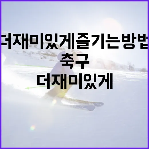 축구를 더 재미있게 즐기는 방법 - 요약
