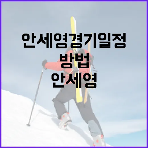 안세영 경기일정을 알아보는 재미있는 방법 - 요약