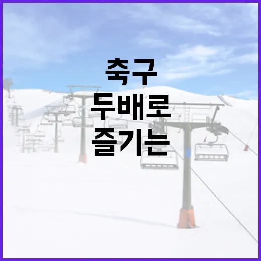 축구 초보자를 위한 경기 관람의 재미를 두 배로 즐기는 법 - 요약