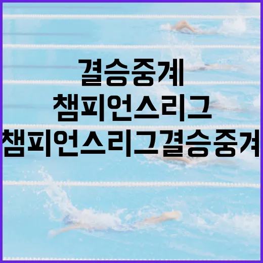 챔피언스리그 결승 중계, 이렇게 즐기세요! - 요약