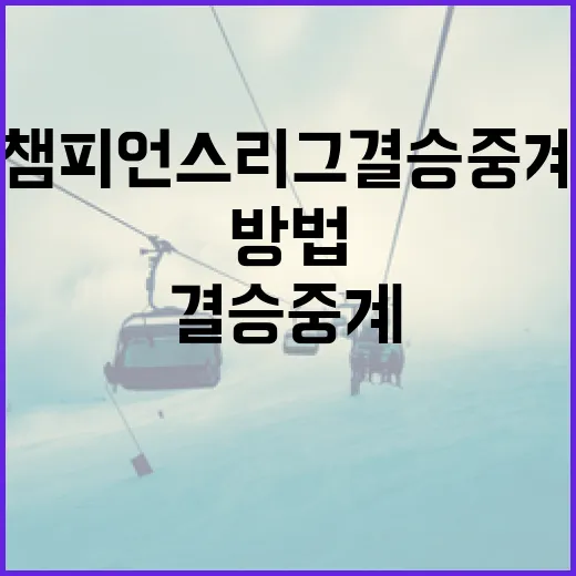 챔피언스리그 결승 중계, 제대로 즐기는 방법 - 요약