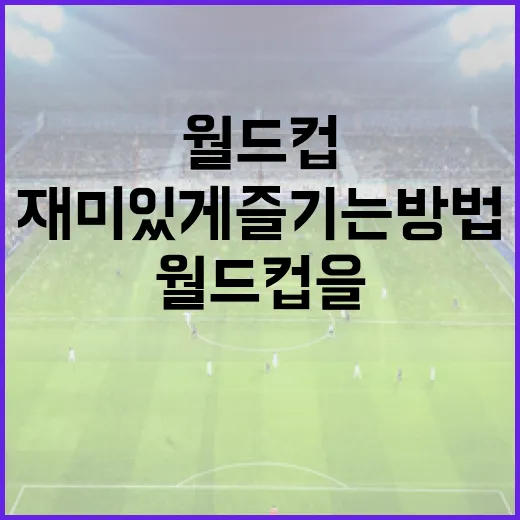 월드컵을 더욱 재미있게 즐기는 방법 - 요약