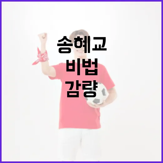 송혜교의 17kg 감량 비법, 당신도 할 수 있어요! - 요약