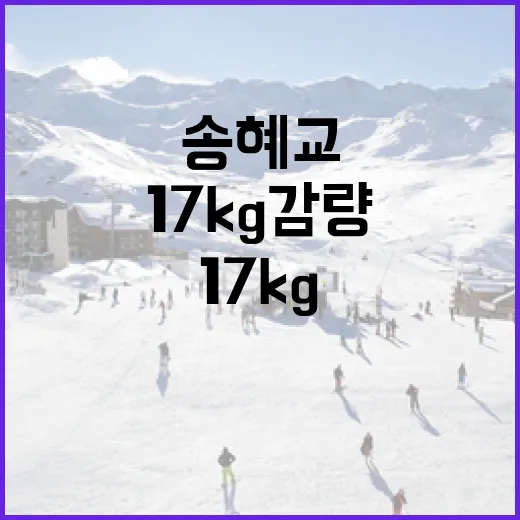 송혜교처럼 17kg 감량하는 방법, 이렇게 해보세요 - 요약