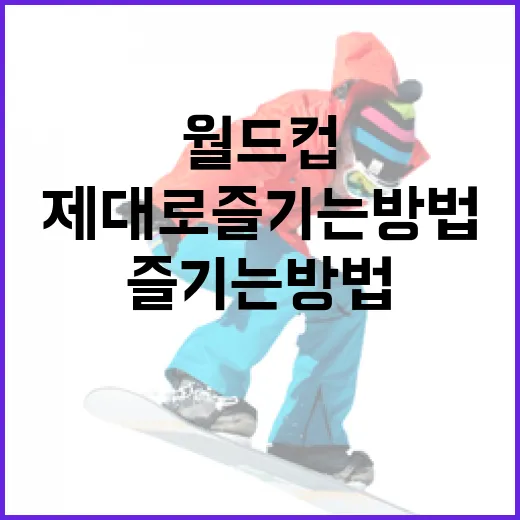 월드컵을 제대로 즐기는 방법 - 요약