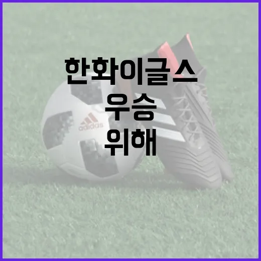 한화 이글스, 우승을 위해 필요한 변화는? - 요약