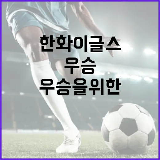 한화 이글스, 우승을 위한 필수 과제는? - 요약