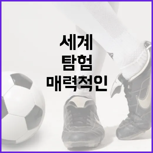 마야 흐발린스카: 매력적인 예술가의 세계를 탐험하다 - 요약