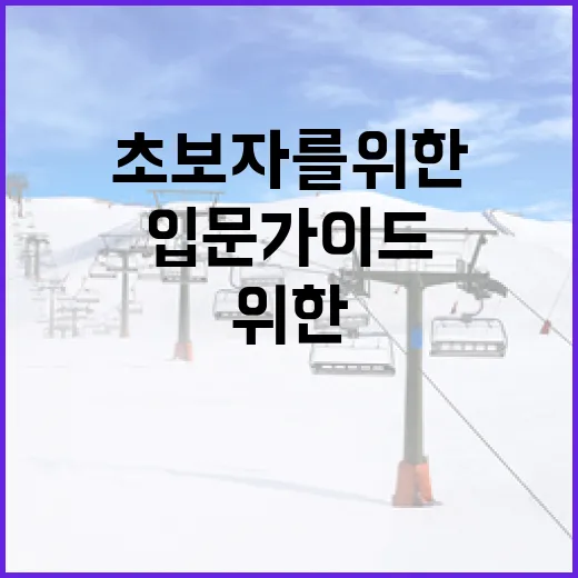 축구 초보자를 위한 입문 가이드: 꼭 알아야 할 기본 지식 - 요약