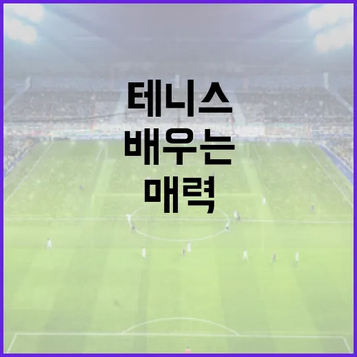 안나 칼린스카야를 통해 배우는 테니스의 매력 - 요약