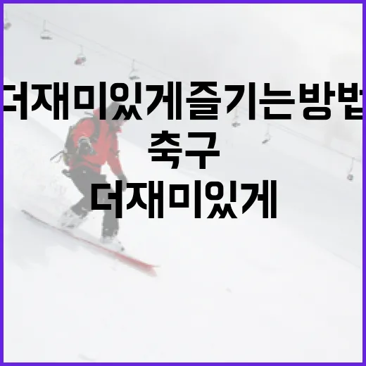 축구를 더 재미있게 즐기는 방법 - 요약