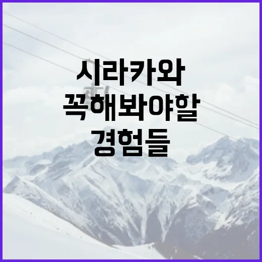 시라카와에서 꼭 해봐야 할 경험들 - 요약