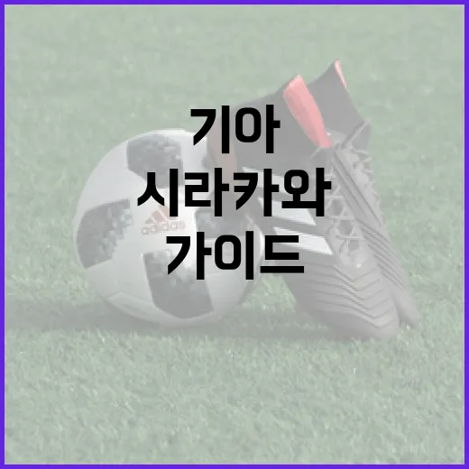 기아 시라카와: 매력적인 선택을 위한 가이드 - 요약