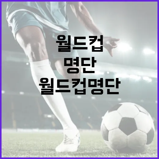 월드컵 명단, 이렇게 준비하면 끝! - 요약