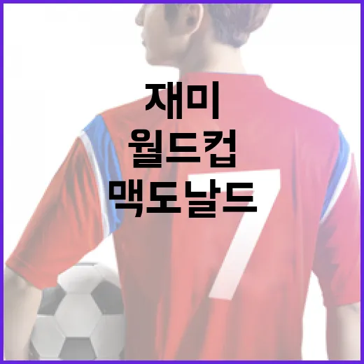 맥도날드 월드컵, 이렇게 즐기면 더 재미있어요! - 요약