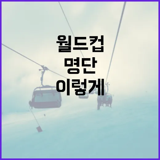 월드컵 명단, 이렇게 구성된다! - 요약