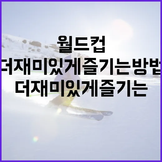 월드컵을 더 재미있게 즐기는 방법 - 요약