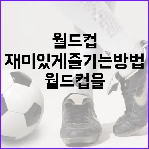 월드컵을 더욱 재미있게 즐기는 방법 - 요약