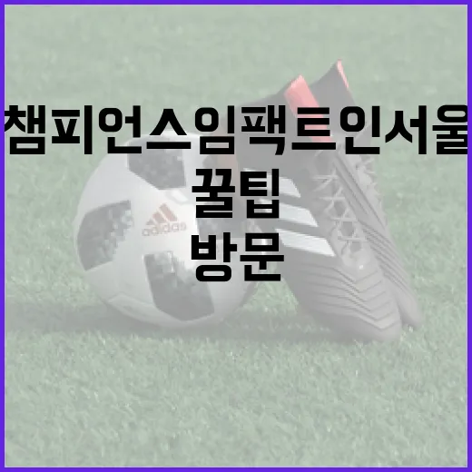 챔피언스 임팩트 인 서울: 성공적인 방문을 위한 꿀팁 - 요약