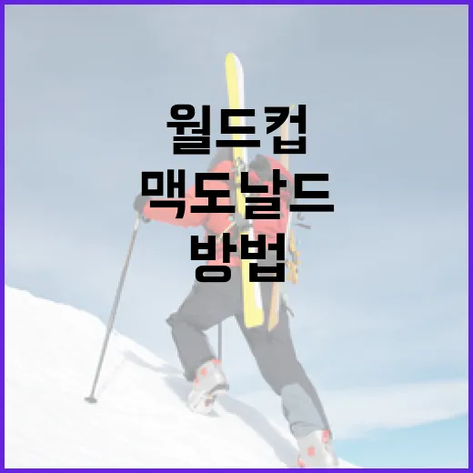 맥도날드 월드컵 컵을 만나는 즐거운 방법 - 요약