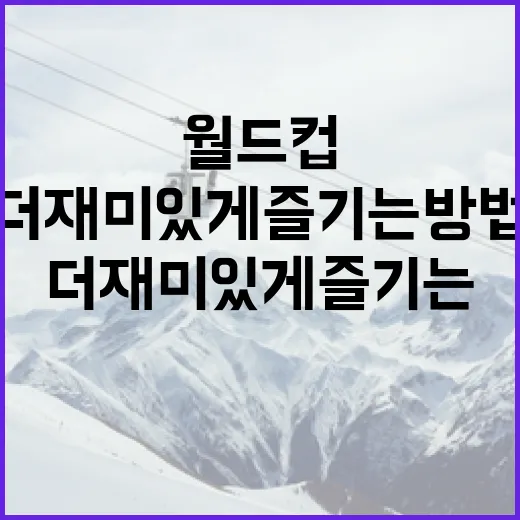 월드컵을 더 재미있게 즐기는 방법 - 요약