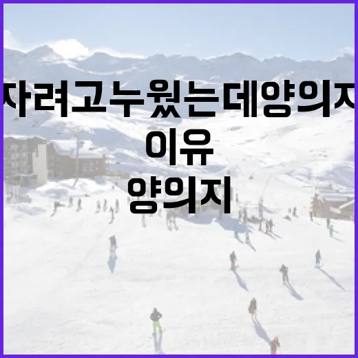 자려고 누웠는데 양의지를 떠올리는 이유 - 요약