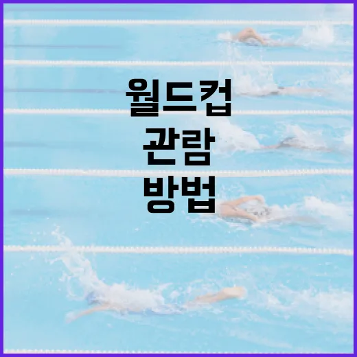 월드컵 즐기기: 재미있게 관람하는 방법 - 요약