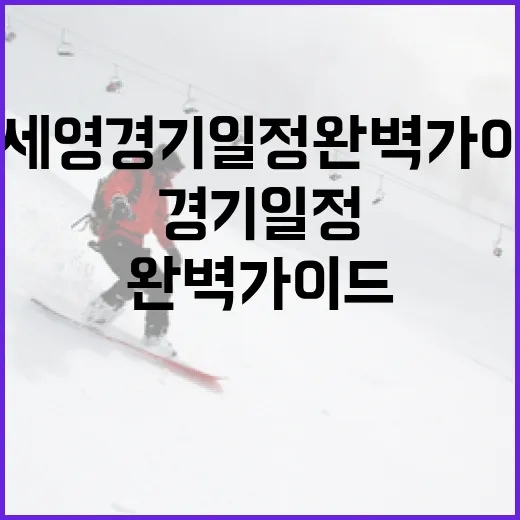 안세영 경기일정 완벽 가이드 - 요약