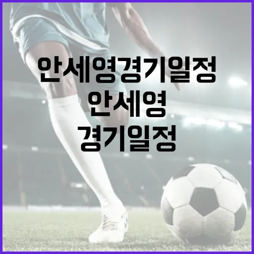안세영 경기일정, 어떻게 챙길까? - 요약