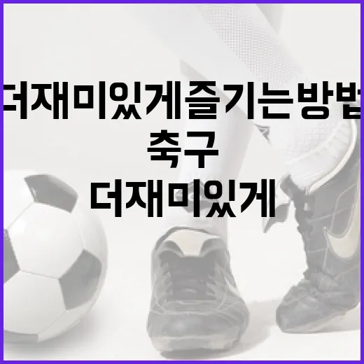 축구를 더 재미있게 즐기는 방법 - 요약