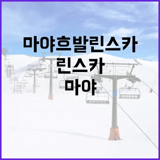 마야 흐발린스카의 매력적인 세계를 탐험하는 방법