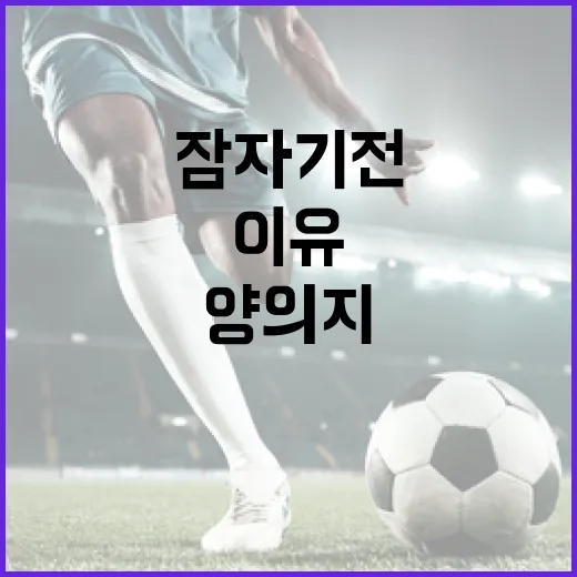 잠자기 전에 양의지를 생각하는 이유 - 요약